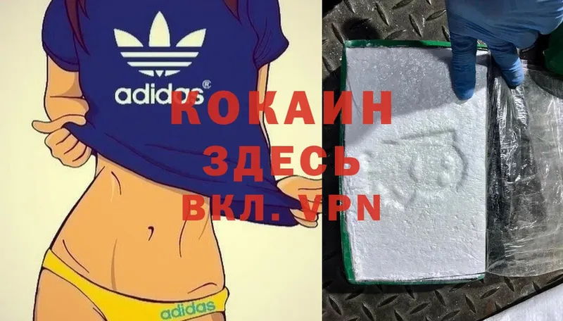 Cocaine Эквадор  где купить наркотик  Княгинино 