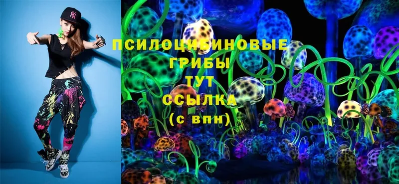 Псилоцибиновые грибы Cubensis  купить закладку  Княгинино 