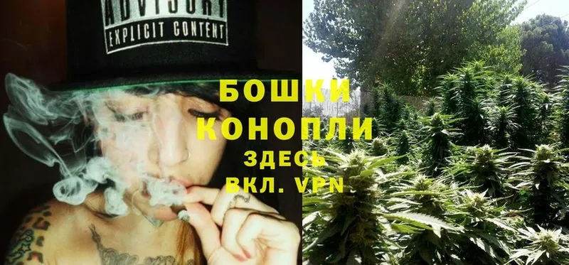 Конопля THC 21%  где найти   Княгинино 